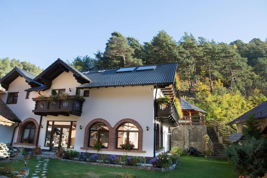 Casa Stefania Hotel Talmacel Bagian luar foto